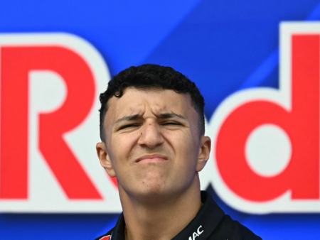 Il pilota della Red Bull potrebbe saltare il Gran Premio d’Olanda a causa di un infortunio